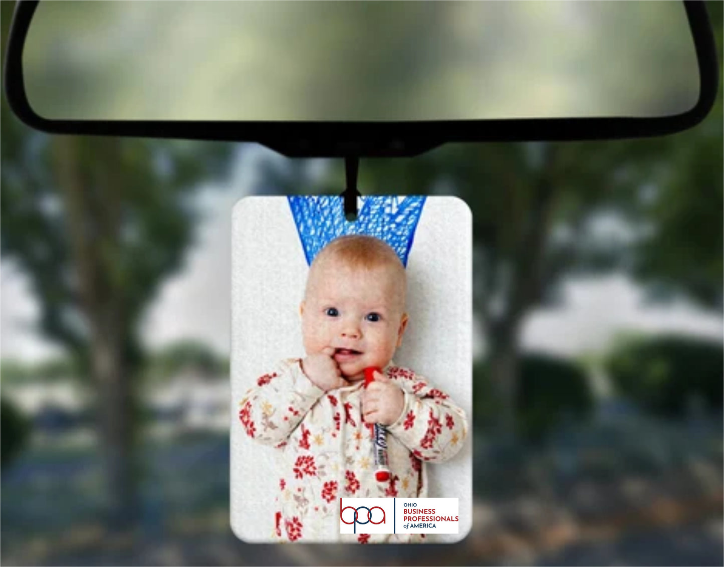 Air fresheners-2 pack (BPA)